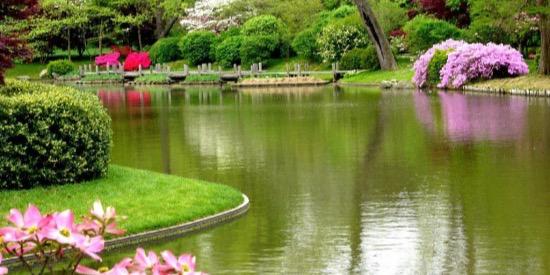 Reem_wv's profile banner image