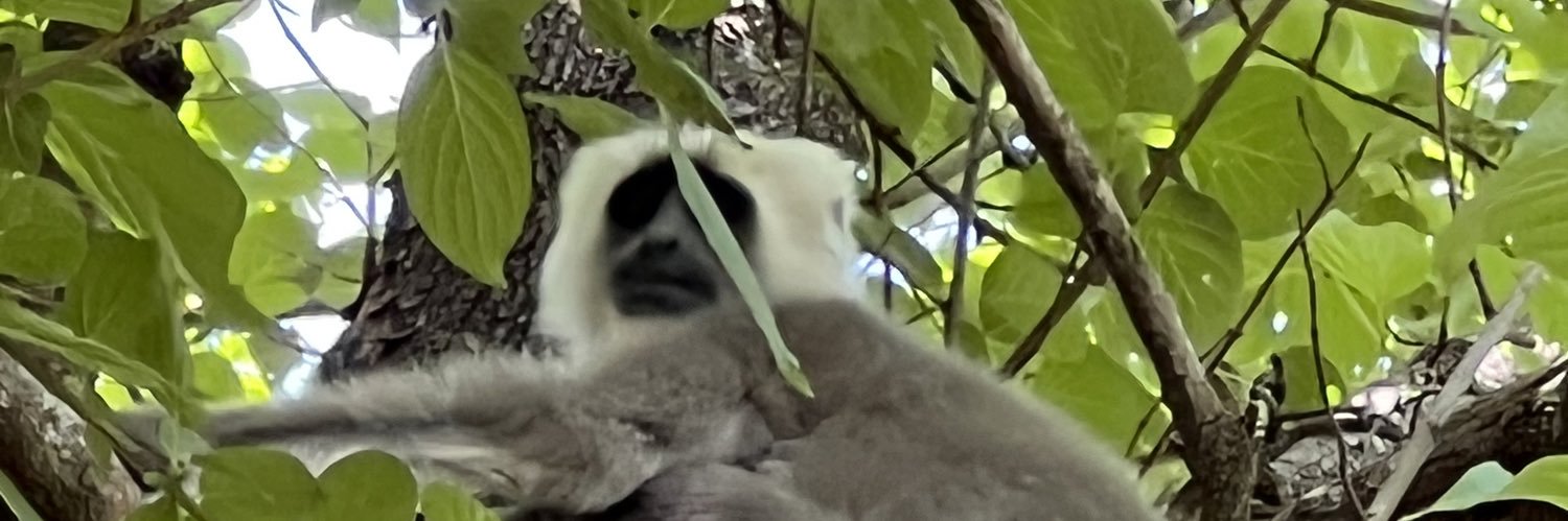 PFA Hyderabad banner