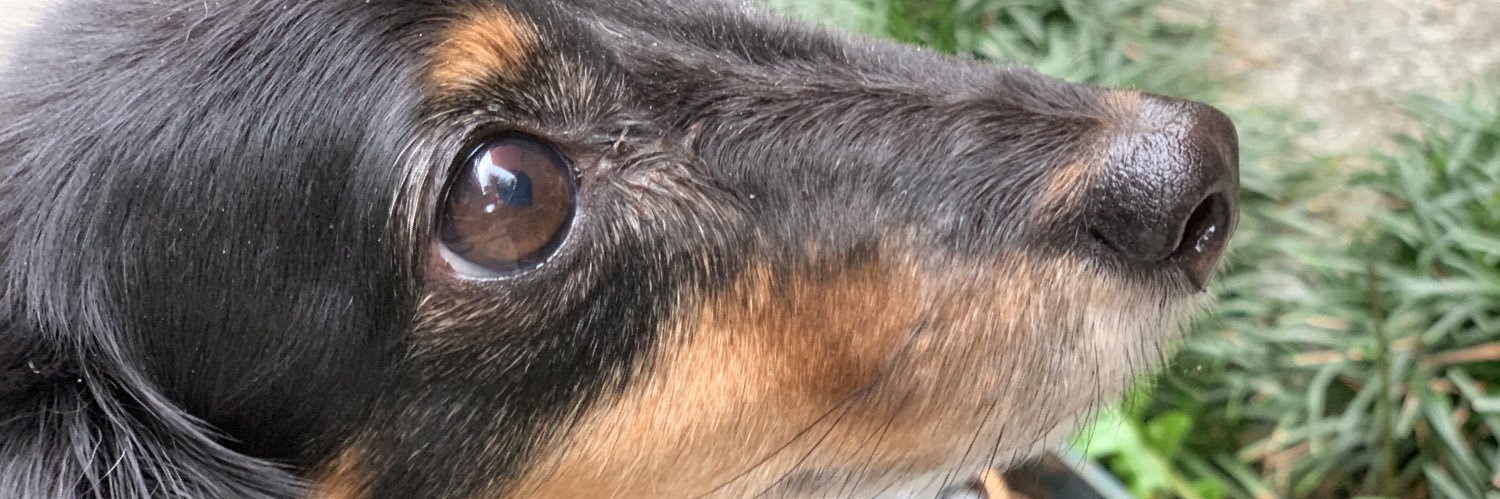 daddy3dox's profile banner image
