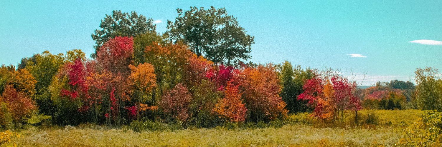 Fitzgerald Pucci🌹 banner