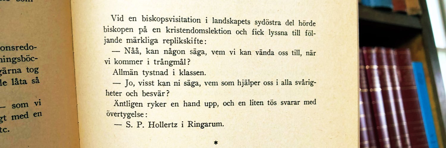 Edvard Hollertz banner