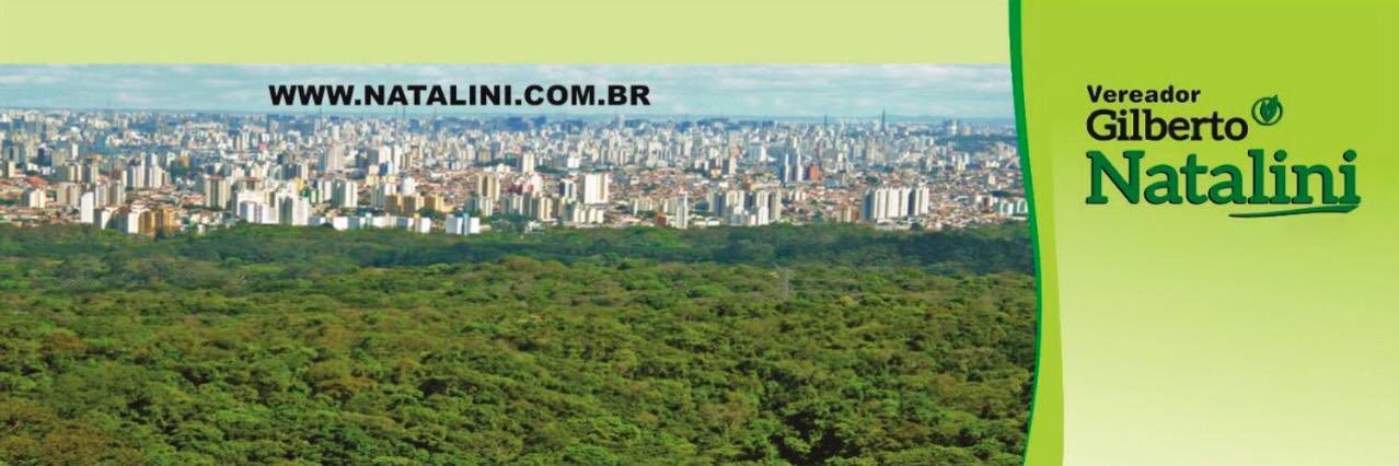 Gilberto Natalini banner