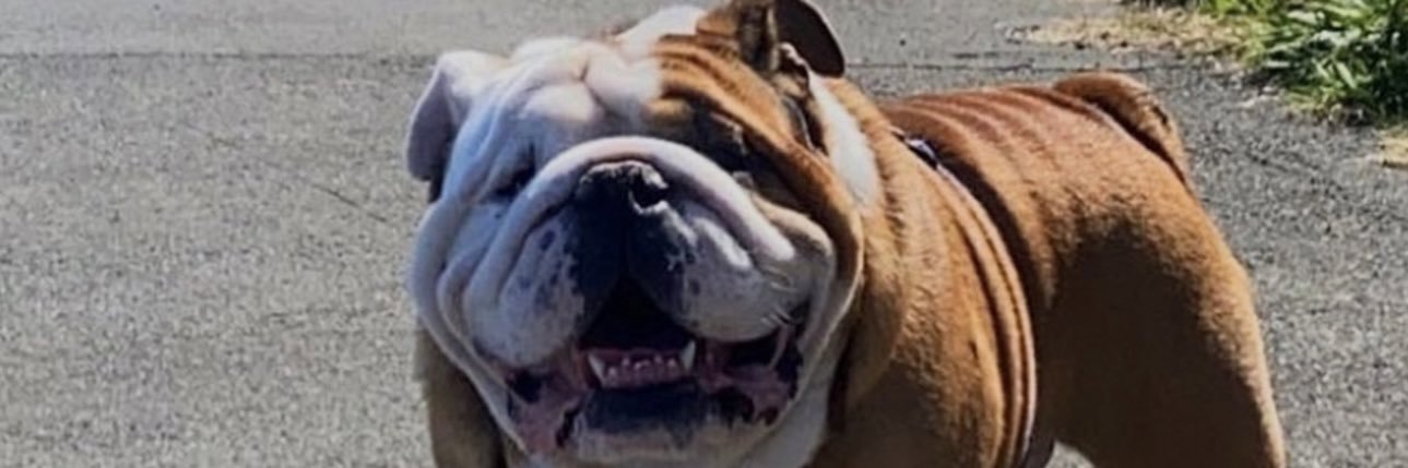 tommy tucker the little fucker banner