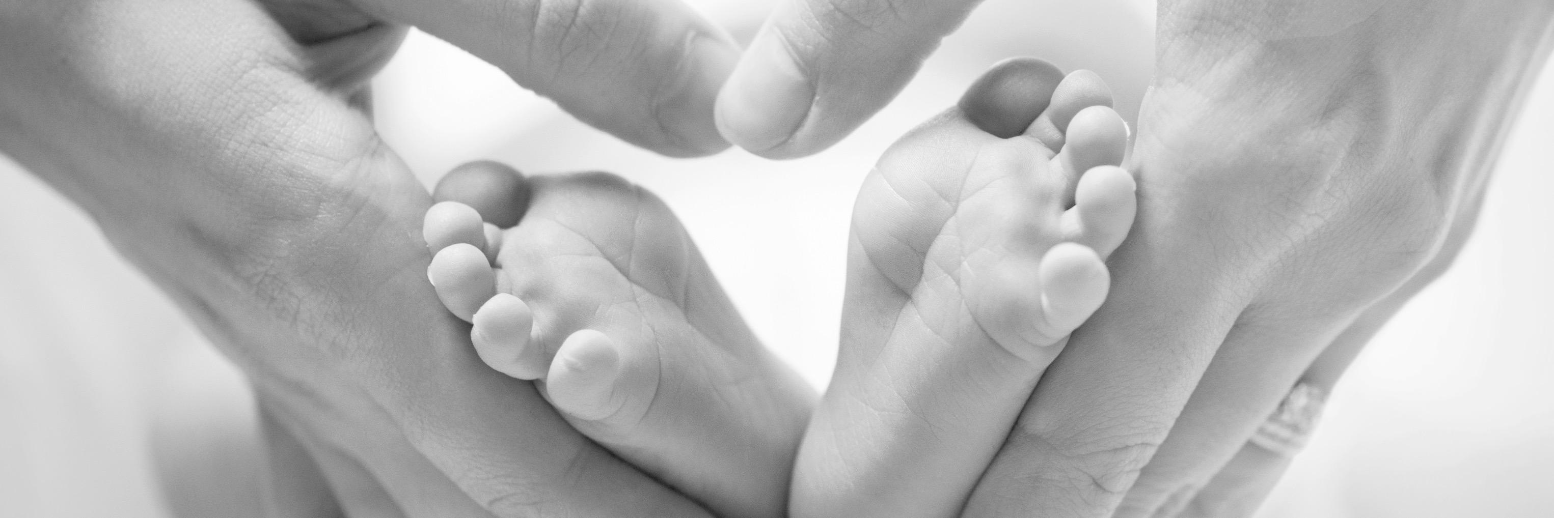 PADA - Perinatal Anxiety and Depression Aotearoa banner