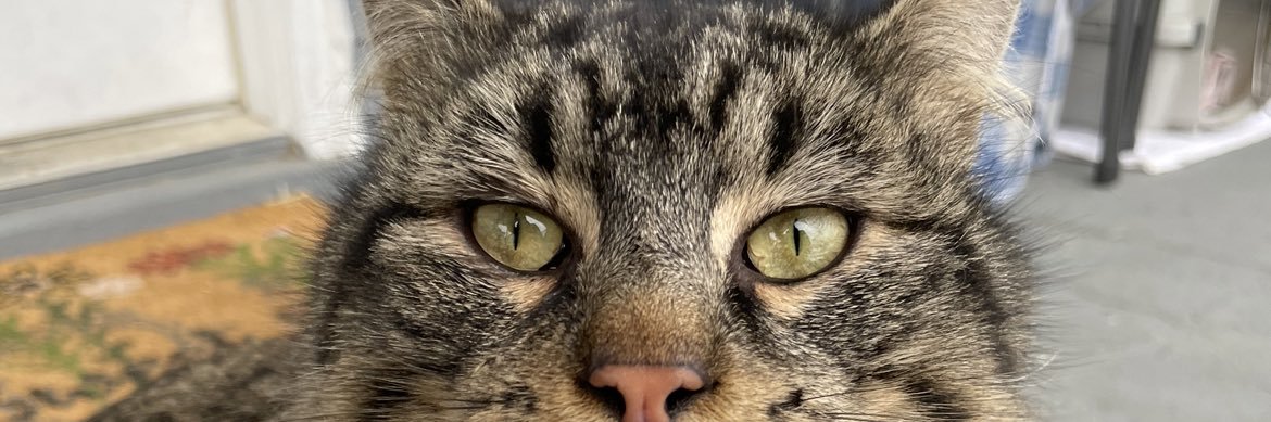 DevonDeWitt1's profile banner image