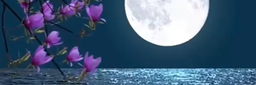 Zili_C's profile banner image