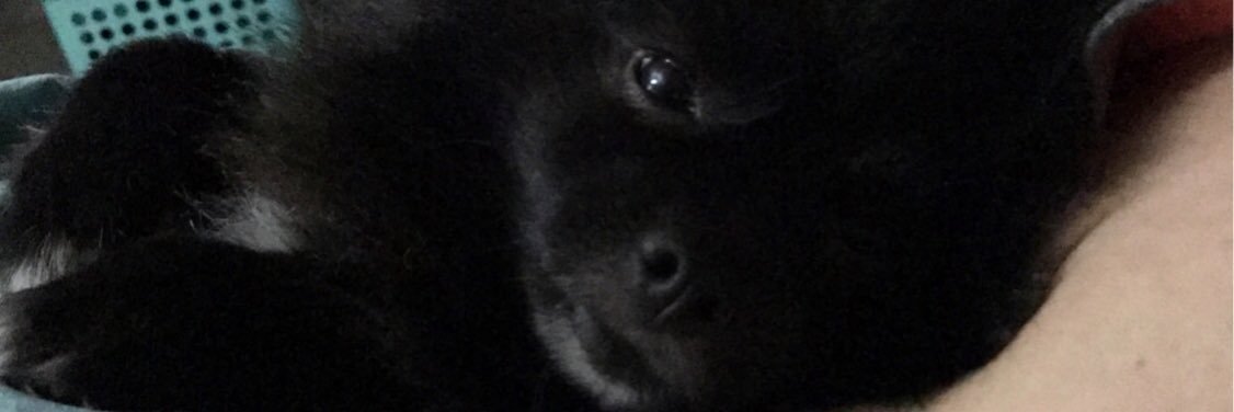 brianfabulous's profile banner image