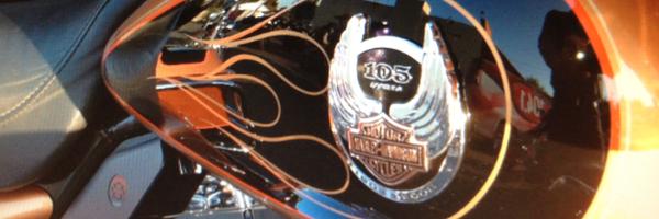 mylimo Profile Banner