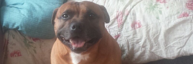 billser75's profile banner image