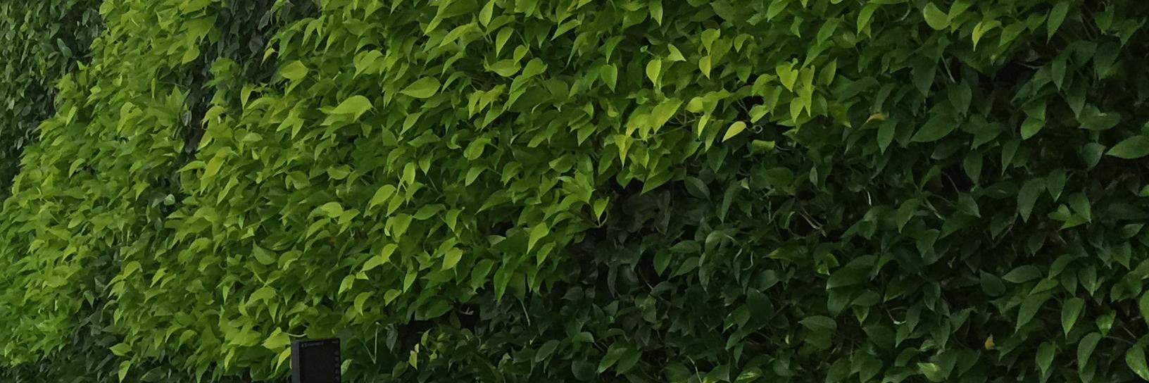 poochlucci's profile banner image