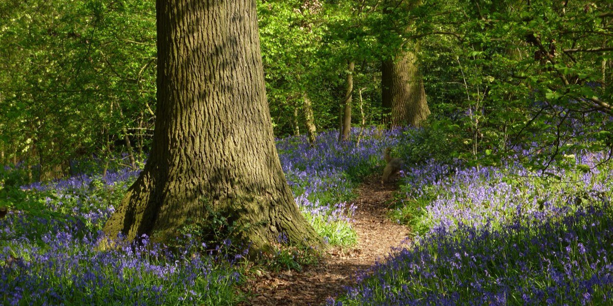 HelenKynaston's profile banner image