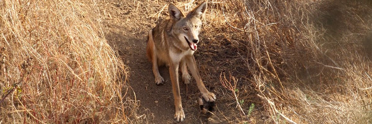 Alejandro Martínez banner