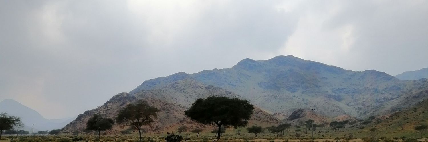 Abu__Hind's profile banner image
