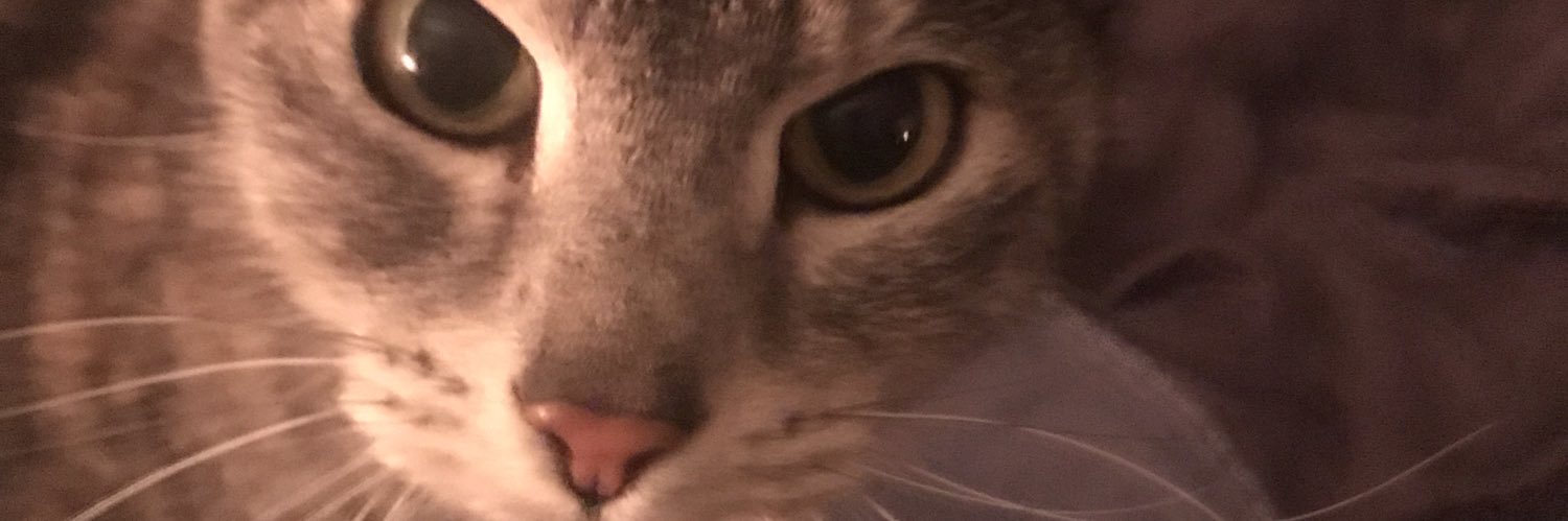 isabel_prone's profile banner image