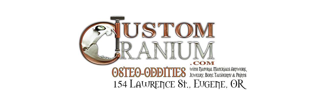 CustomCranium's profile banner image