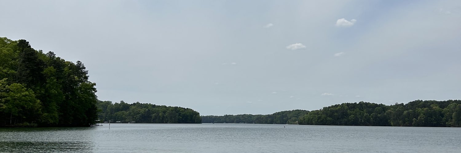 sofiaveega's profile banner image