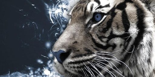 LauraWilson29's profile banner image