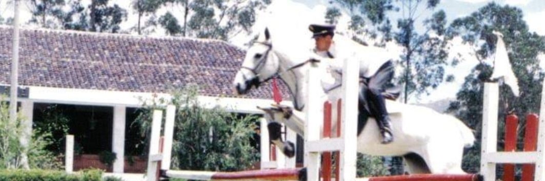 fidel araujo banner