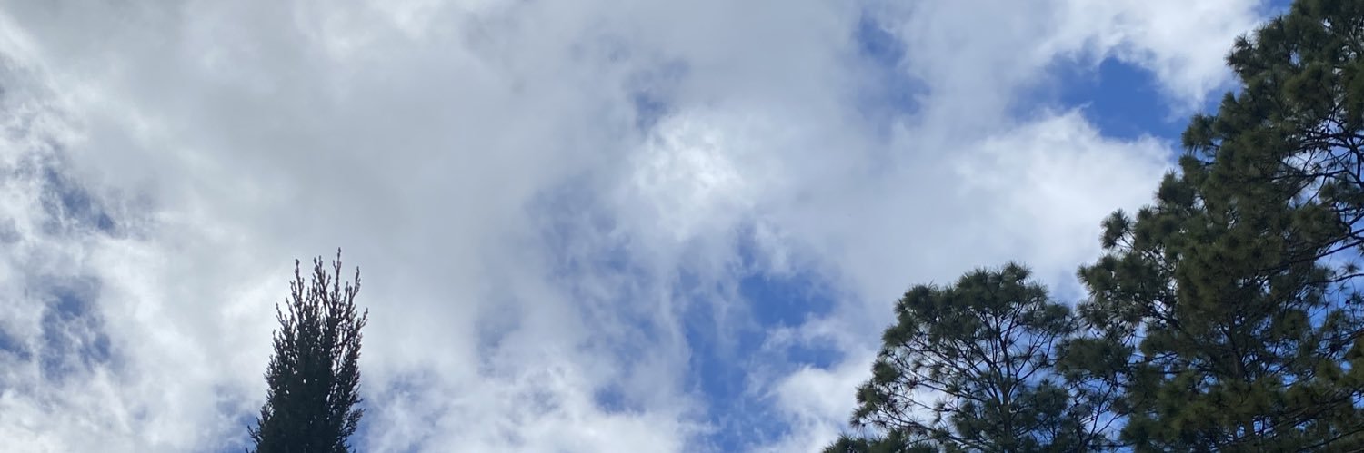 silvanapazzetti's profile banner image