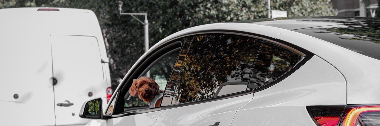 0ldManDave's profile banner image