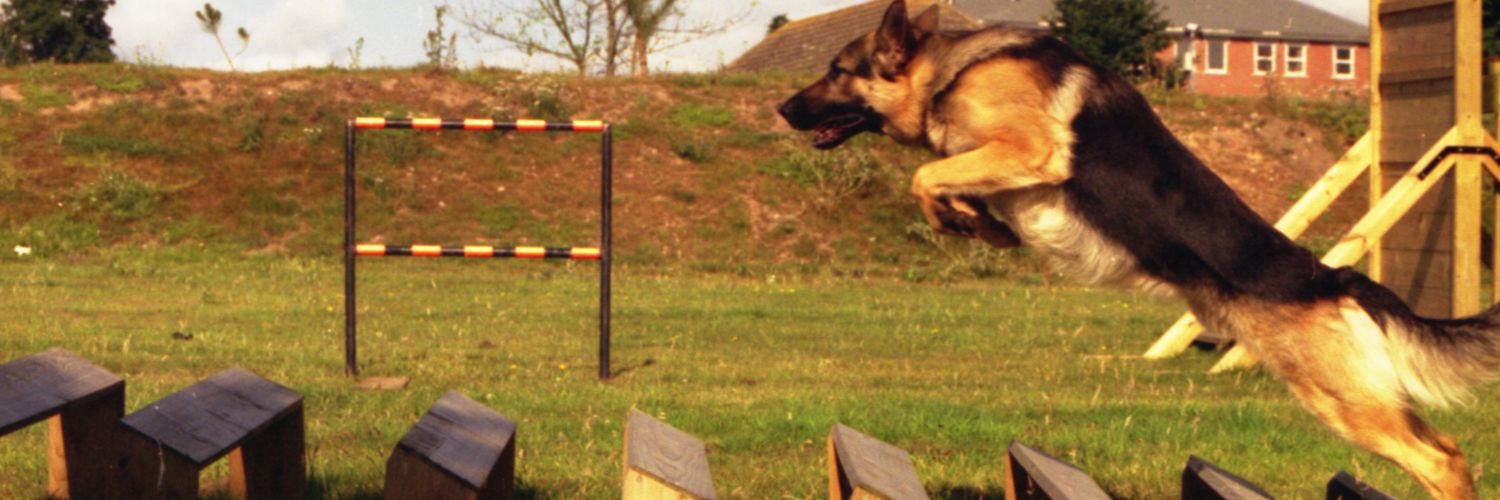 K9Cal's profile banner image
