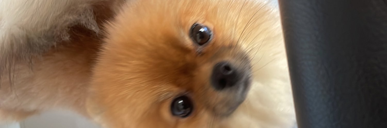 anacarvalh_'s profile banner image