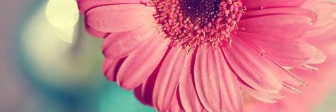 mara_squared's profile banner image