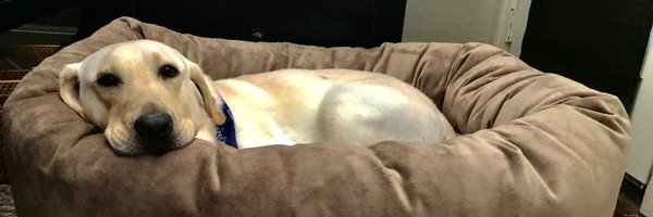 TheJoshNeal Profile Banner