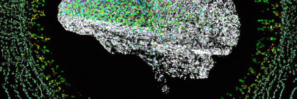 samuelaeschbach Profile Banner