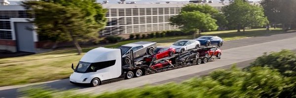 tslaming Profile Banner