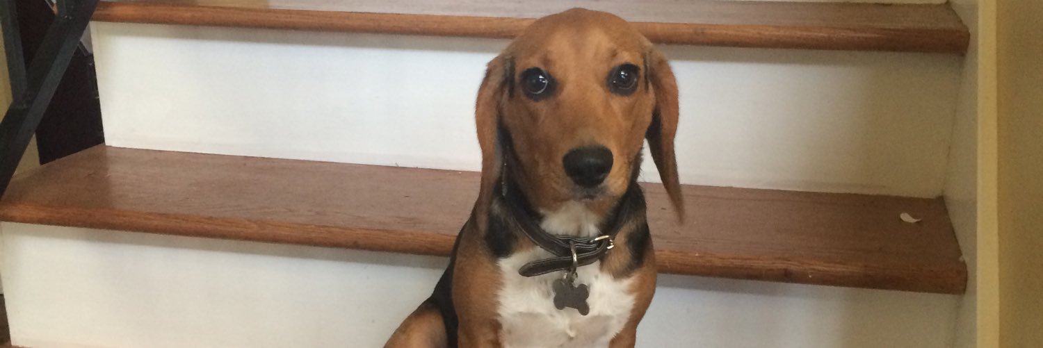DGARNER_'s profile banner image