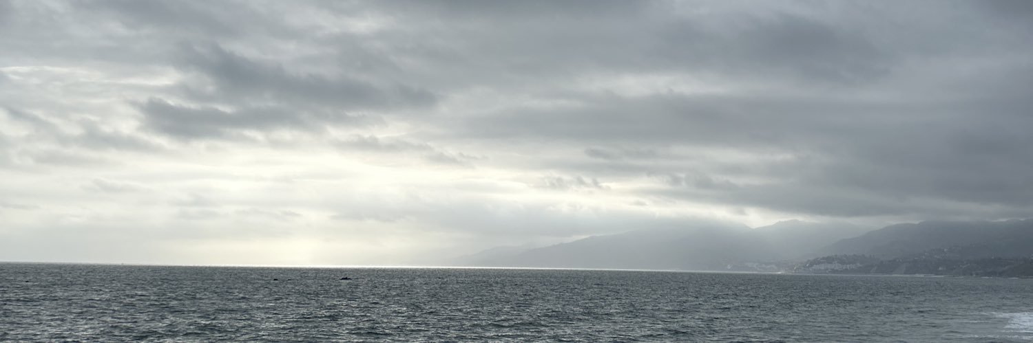 Roboticfalcon21's profile banner image