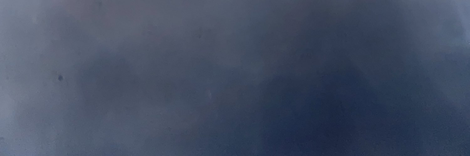 CarliAviles's profile banner image