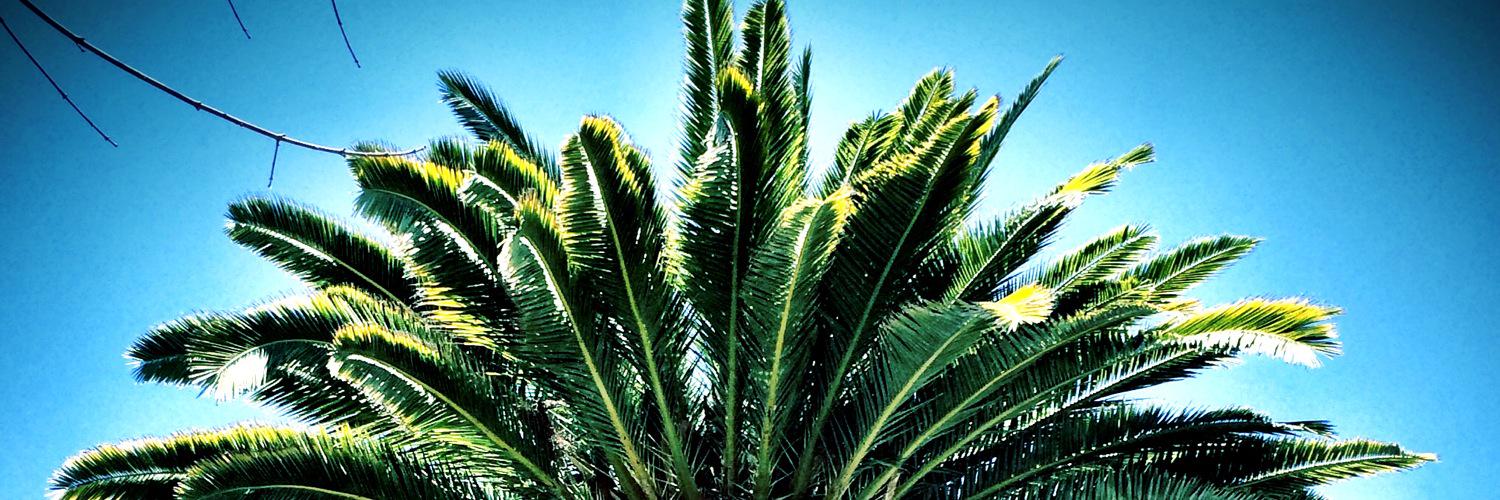LocallyGrownCom's profile banner image