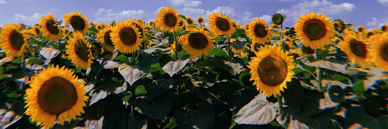 Elysia Nocida banner