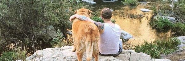 AriBlitz Profile Banner