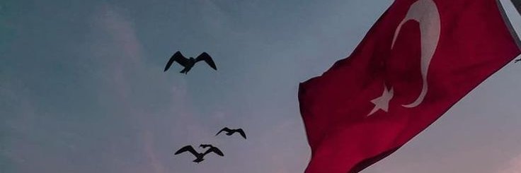 bostancyasarr's profile banner image