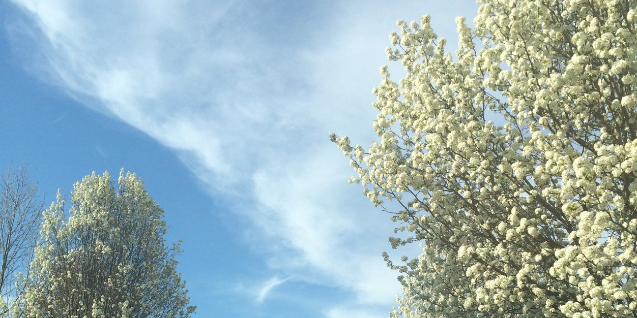 hayfisk3's profile banner image