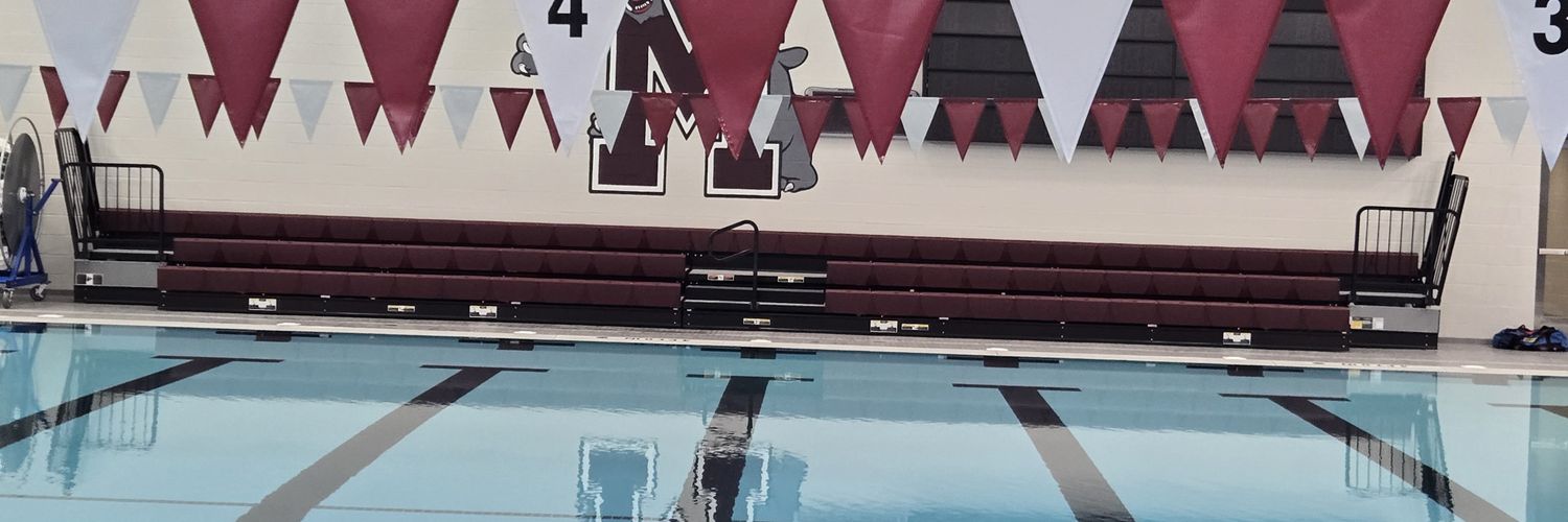MechSwim's profile banner image