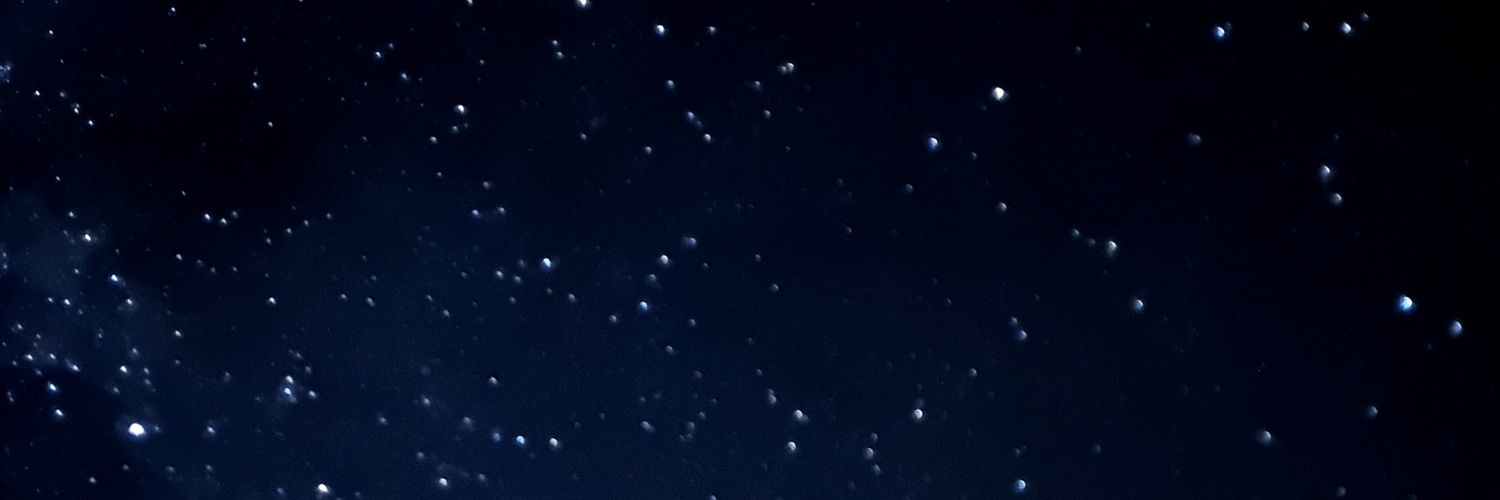 Zeelya's profile banner image