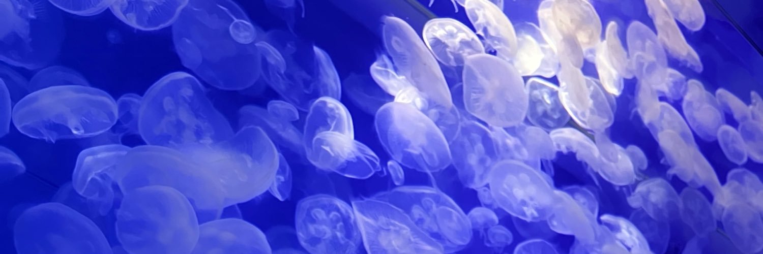 168OxO's profile banner image