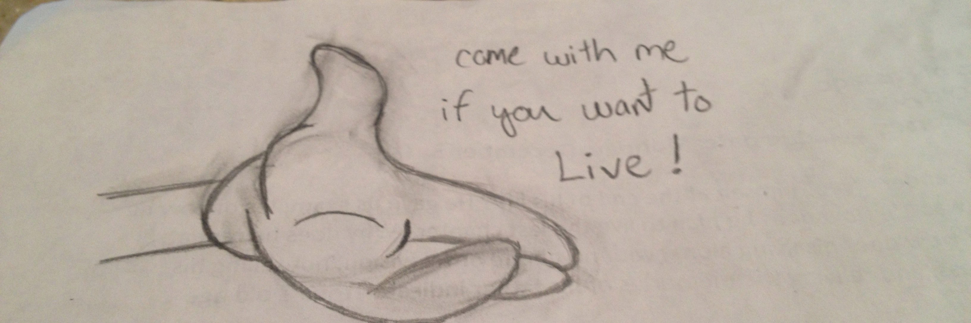 cya_lata_bye's profile banner image