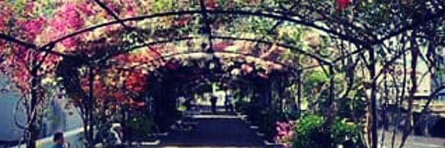 Katherine Lugo banner