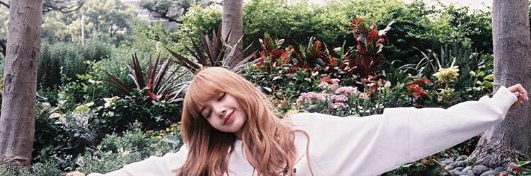 xoSnapple's profile banner image