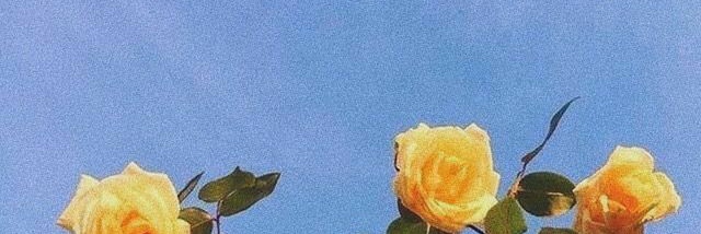 bxculum_'s profile banner image