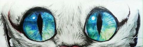 alexrgME's profile banner image