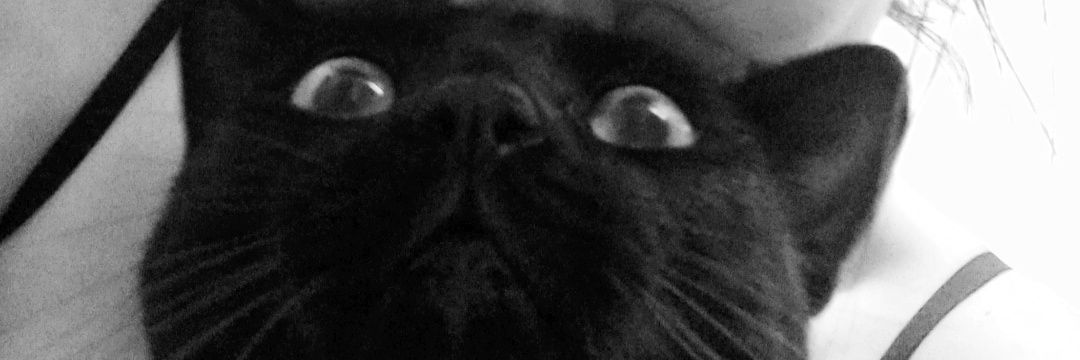 T𝔢𝔠𝔥 T𝔠𝔥𝔬𝔦𝔫 banner