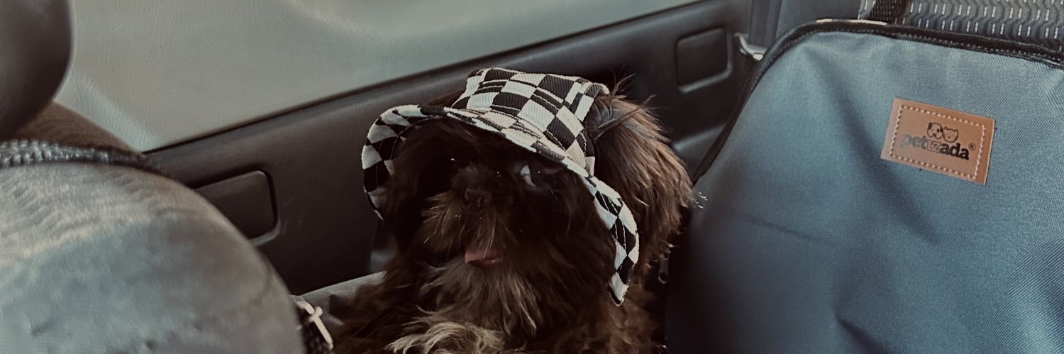 mmmarchetti_'s profile banner image