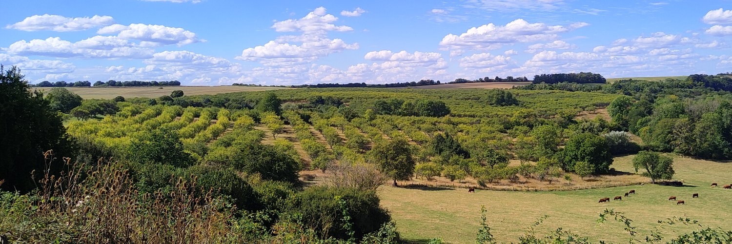 seb 🇫🇷🇨🇦🇨🇭🏴󠁧🇮🇹🇱🇺🇺🇸🇪🇦🇯🇴🇳🇱🇧🇪🏴 banner
