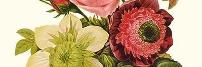 Megan banner